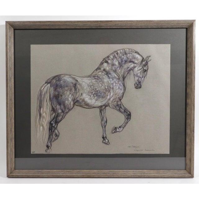 Drawing/Sketching Materials Horse Pastel by Leslie Charlotte Benenson of Stallion 'Lebrijano' , an Andalusian Horse, Dated 20th August 1995 For Sale - Image 7 of 7