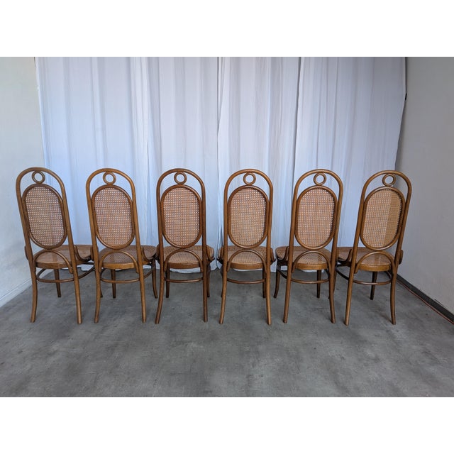Mid-Century Bentwood Cane Dining Chair, Yugoslavia, 1970s, Set of 6 For Sale - Image 18 of 18