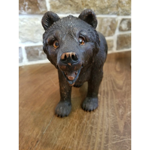 Antiique Black Forest Bear For Sale - Image 4 of 9