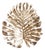 Monstera Wall Art For Sale