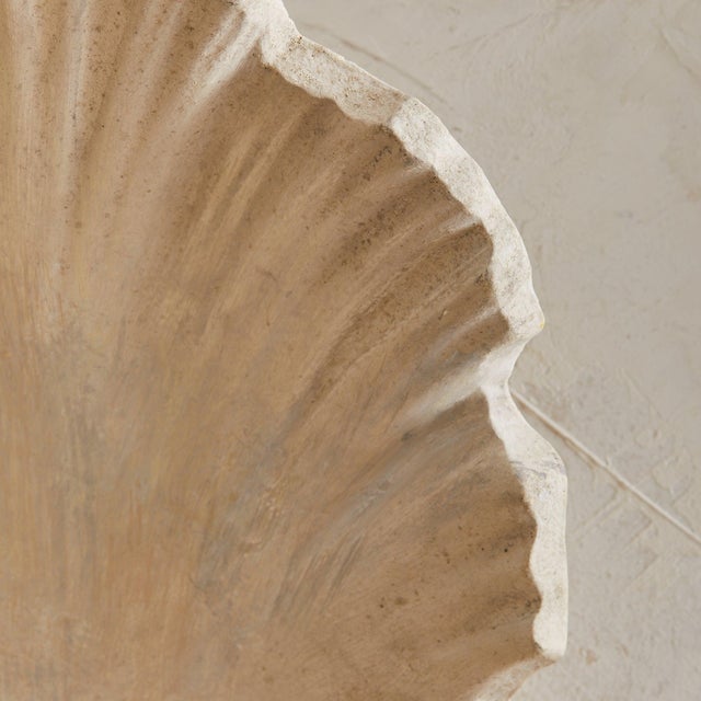 1940s 1940s French Plaster Scallop Shell Sconces - a Pair For Sale - Image 5 of 9