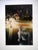 Joel Meyerowitz, Tuscany, Statue, Siena 1996, 1996 For Sale