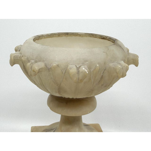19th Century Grand Tour NeoClassical Alabaster Carved Urn For Sale - Image 17 of 18