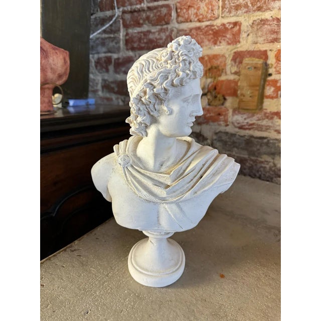 Classical Plaster Bust of Apollo Belvedere | Italian Mythological Sculpture Bring timeless European elegance into your...