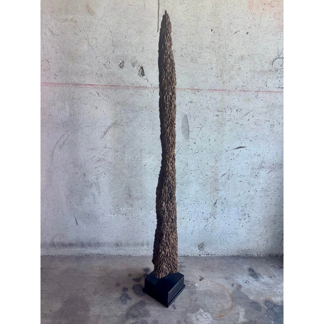 A striking pair of vintage coastal sculptural cedar poles, naturally shaped over time by oysters and other shell-forming...