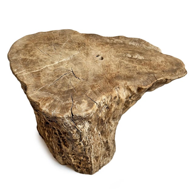 Early 21st Century Vintage Lychee Stump Burn Sand Side Table For Sale - Image 5 of 7