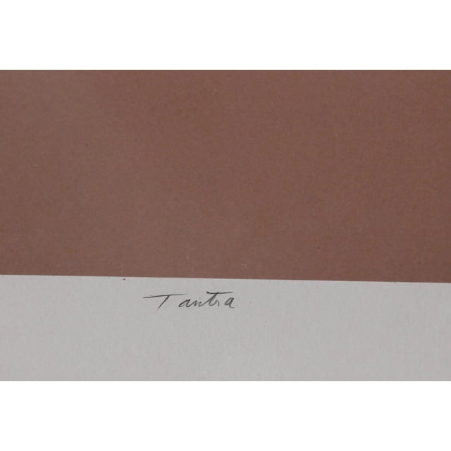 Photorealism Tantra, Michael DeCamp Photography For Sale - Image 3 of 3