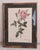 Glass Pierre Joseph Redouté, Botanical of Bengal Rose, 1920s, Lithograph For Sale - Image 7 of 7