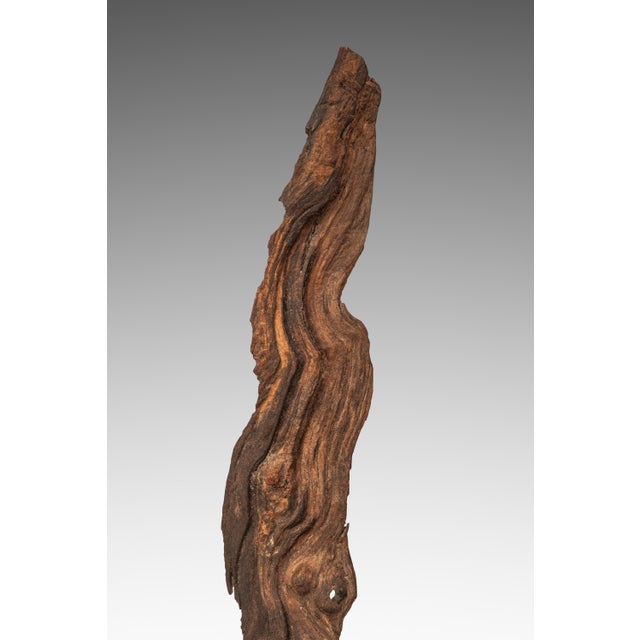 Signed Abstract Rustic Driftwood "Howling Wolf" Sculpture in Solid Beach Driftwood by Emlen Drayton, Usa, C. 2000s For Sale - Image 11 of 15