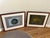 Pair of Contemporary Oil on Paper Gourd Still Life Paintings, Signed "Gw", 2006 For Sale - Image 12 of 15