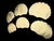 1990s 1990s Gold Clamshell Sea Shell Placemats - Set of 6 For Sale - Image 5 of 14