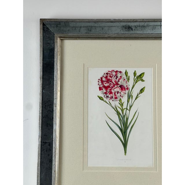 Hollywood Regency Vintage Trowbridge Custom Framed Botanical Print “Dianthus Caryophyllus” After Louis Stroobant, Belgium 1845-1888 For Sale - Image 3 of 10