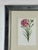 Hollywood Regency Vintage Trowbridge Custom Framed Botanical Print “Dianthus Caryophyllus” After Louis Stroobant, Belgium 1845-1888 For Sale - Image 3 of 10