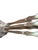 1900 - 1909 1909 Art Nouveau Rogers & Bro. "Florette" Silverplate Citrus Spoons - Set of 5 For Sale - Image 5 of 5