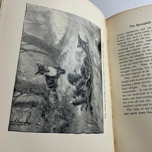 1902 Wild Animals I Have Known Book For Sale In New York - Image 6 of 13