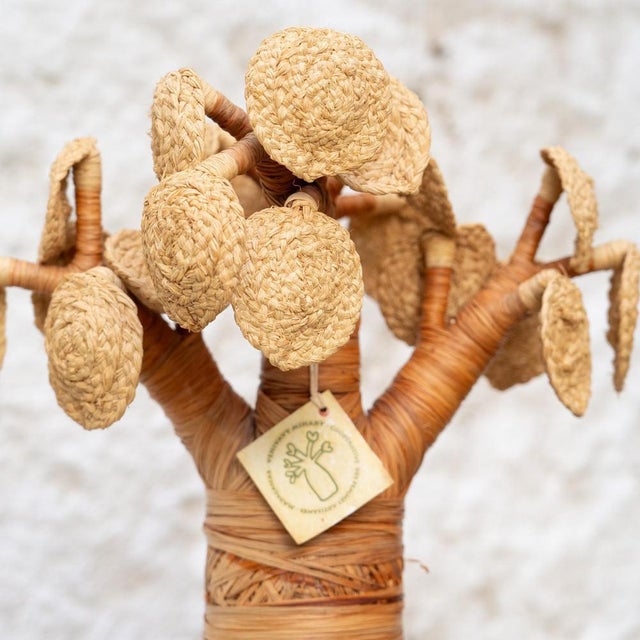 Baobabs in Raffia, Madagascar, 2000, Set of 3 For Sale - Image 6 of 15