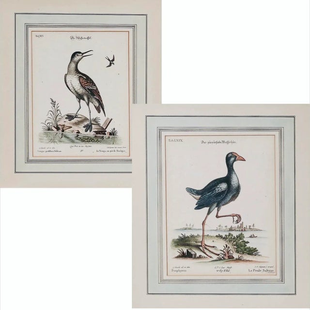 A handsome pair of original ca. 1760 bird engravings, with charming landscapes by British naturalist and ornithologist...