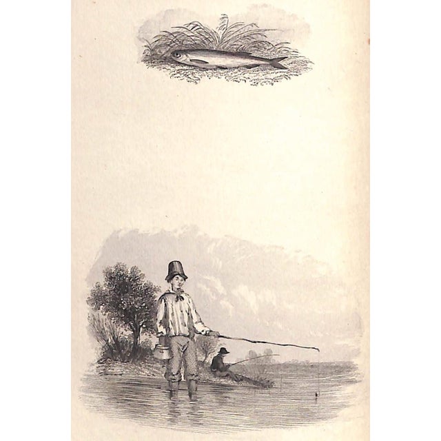 "The Angler's Souvenir" 1845 Fisher, P. For Sale - Image 12 of 12