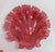 19th Century 19th Century Group of Four Ruby Cranberry Red Shell Form Nut Dishes For Sale - Image 5 of 14