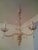 Jl Lobmeyr Colored Crystal Chandelier For Sale - Image 9 of 11