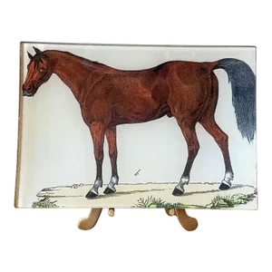 John Derian "A Horse" Mini Decoupage Tray