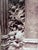"The Work of Eugene Atget" Paris Photographs-First Edition-1982 For Sale - Image 4 of 12