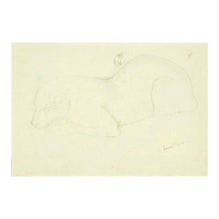 Feline Sleeping - Original Pencil Drawing by Ernest Rouart - 1890s 1890s For Sale