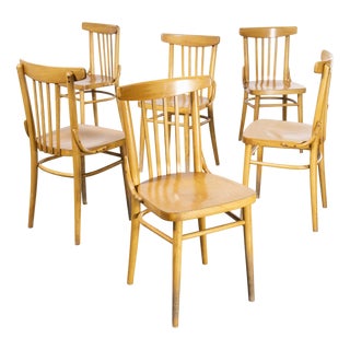 Bentwood Dining Chairs from TON, 1960s, Set of 6 For Sale