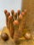 Early 20th Century Set of Wooden Skittles- 12 Pieces For Sale - Image 4 of 6