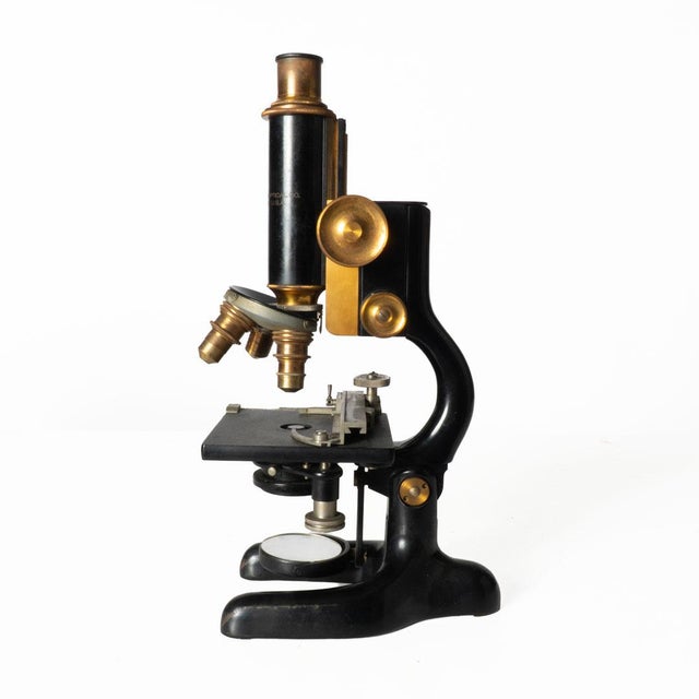 Antique Bausch and Lomb Microscope in Case For Sale - Image 13 of 18