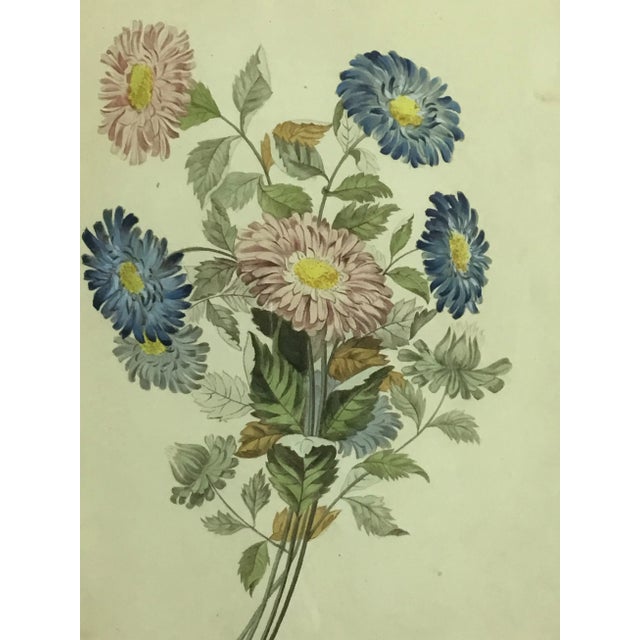 Wood 19th Century Paris Botanical Lithograph Prints by Chirat - a Pair For Sale - Image 7 of 13