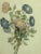 Wood 19th Century Paris Botanical Lithograph Prints by Chirat - a Pair For Sale - Image 7 of 13