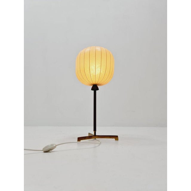 Mid-Century Cocoon Teak and Brass Table Lamp from Vereinigte Werkstätten Munich, 1960s For Sale - Image 10 of 12