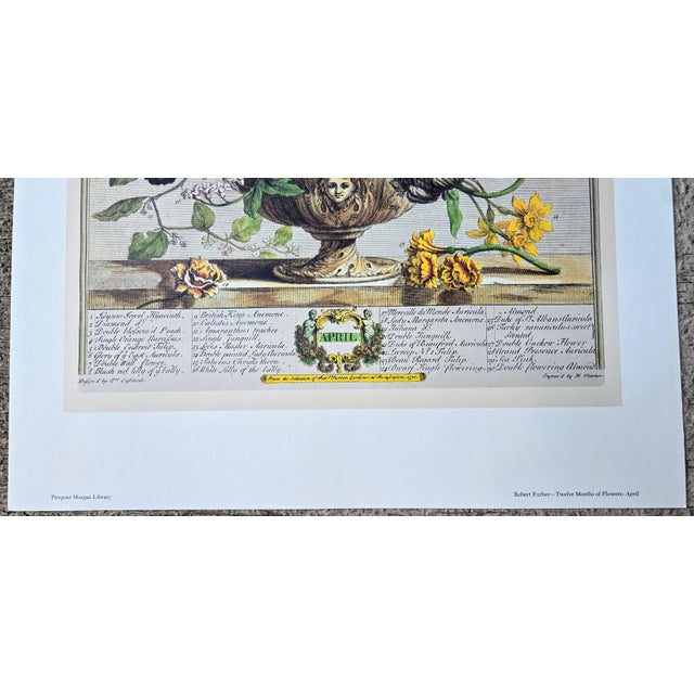 1980s Vintage Robert Furber April Botanical From "Twelve Months of Flowers” Pierpont Morgan Library Print For Sale In Denver - Image 6 of 12