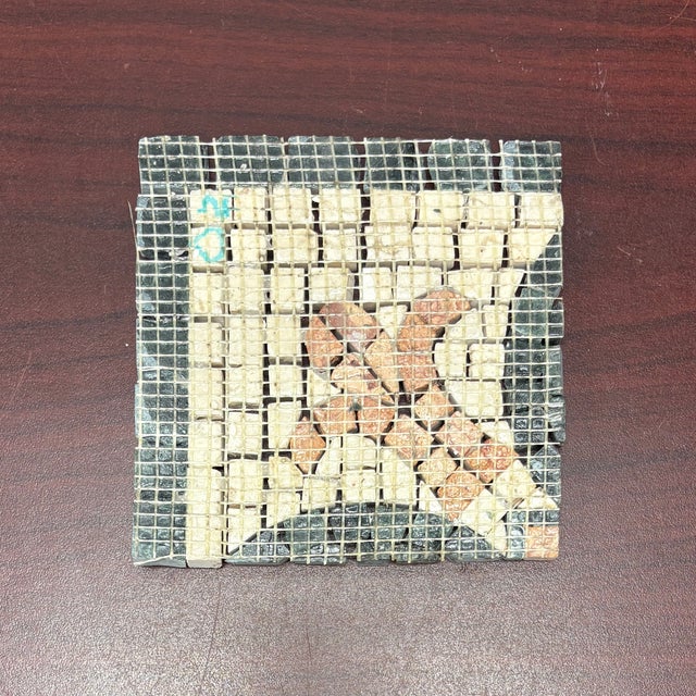 Verde Saltan Marble / Botticino Marble / Montsoreau Marble Satin Finish Fungi Decorative Mosaic Corner For Sale - Image 4 of 4