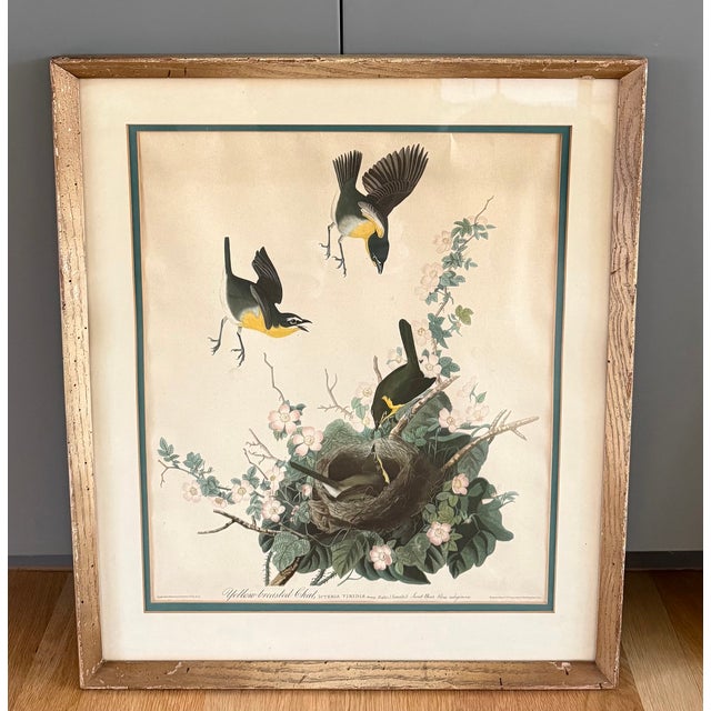 Mid-Century Modern Pair of Vintage Framed Bird Illustration Lithographs by John James Audubon For Sale - Image 3 of 17