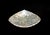 2020s Mother of Pearl Bowl Dish Hand Crafted Teardrop 8" For Sale - Image 5 of 7