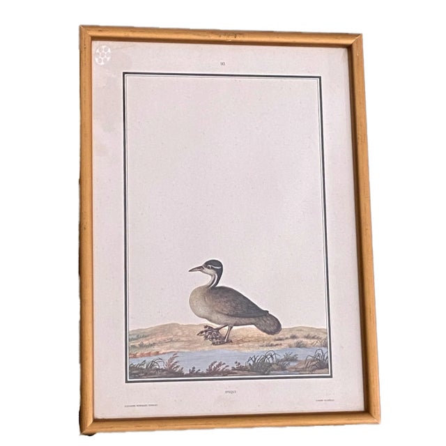 Vintage 19th C Alexander Rodrigues Ferreira Rugendas Print Framed For Sale In New York - Image 6 of 6