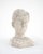 20th Century Belgian Concrete Bust For Sale - Image 12 of 18
