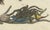 Bertuch, Tarantula, Spiders and Scorpions, 1790, Engraving For Sale - Image 6 of 10