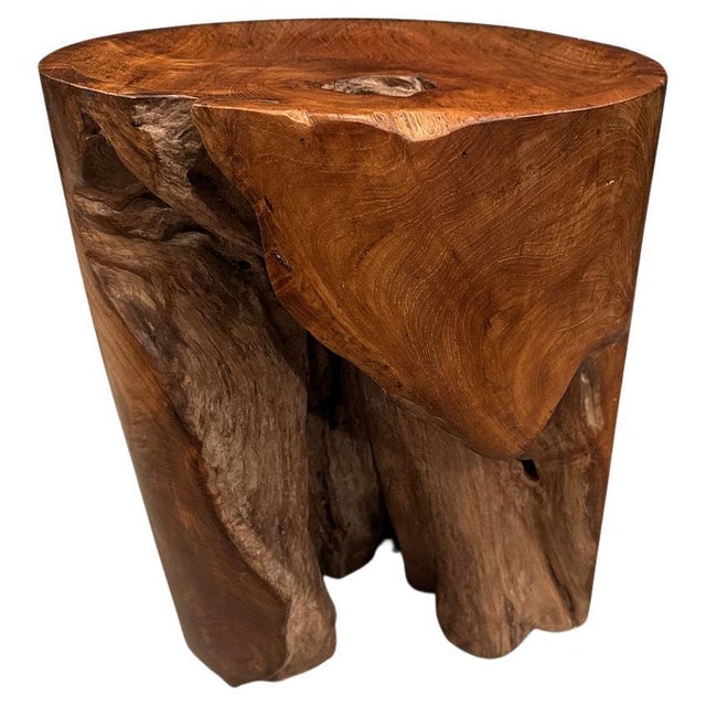 2010s Andrianna Shamaris Sculptural Teak Wood Tray Side Table For Sale - Image 5 of 18