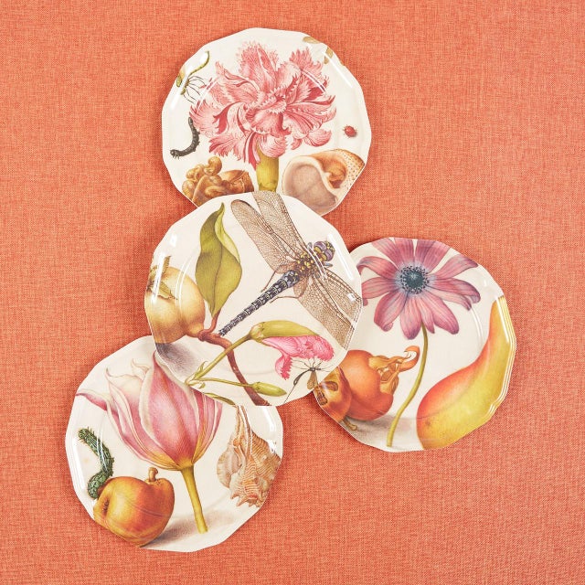 Our Botaniste melamine collection features antique natural history engravings and watercolors with a bit of an eccentric...