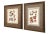Late 20th Century Prints Botanical Pair Framed For Sale - Image 5 of 16