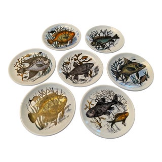 1950s Mid-Century Fish Coasters by Bucciarelli of Milano, Italy - Set of 7 For Sale