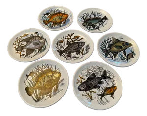 1950s Mid-Century Fish Coasters by Bucciarelli of Milano, Italy - Set of 7