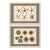 Starfish & Sea Urchins – Set of 2 Custom Framed – Antique Marine Life Engravings by Lamarck, Paris 1791 For Sale