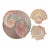 Vintage Set of 4 Fitz and Floyd Caribbean Collection Appetizer or Salad Plates For Sale