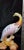 Vintage MCM Hand Painted, Portuguese Pereiras Birds Pheasants Figurine-Set of 2 For Sale In Dallas - Image 6 of 7