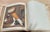 Rare 1870s First Edition: The Illustrated Book of Pigeons by Robert Fulton (Cassell Petter & Galpin) Complete With All 50 Color Plates by j.w. Ludlow For Sale - Image 12 of 12