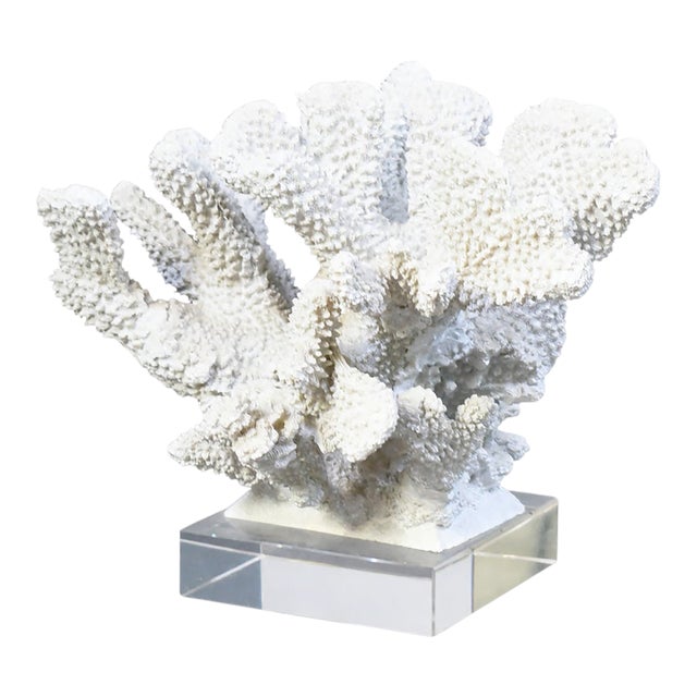 Vintage Coral on Lucite For Sale